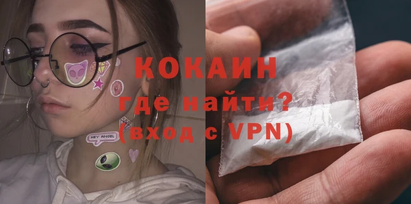 прущий лед Алзамай