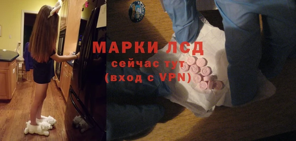 крисы Абаза