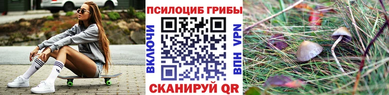 Псилоцибиновые грибы Psilocybine cubensis  Рыбное 